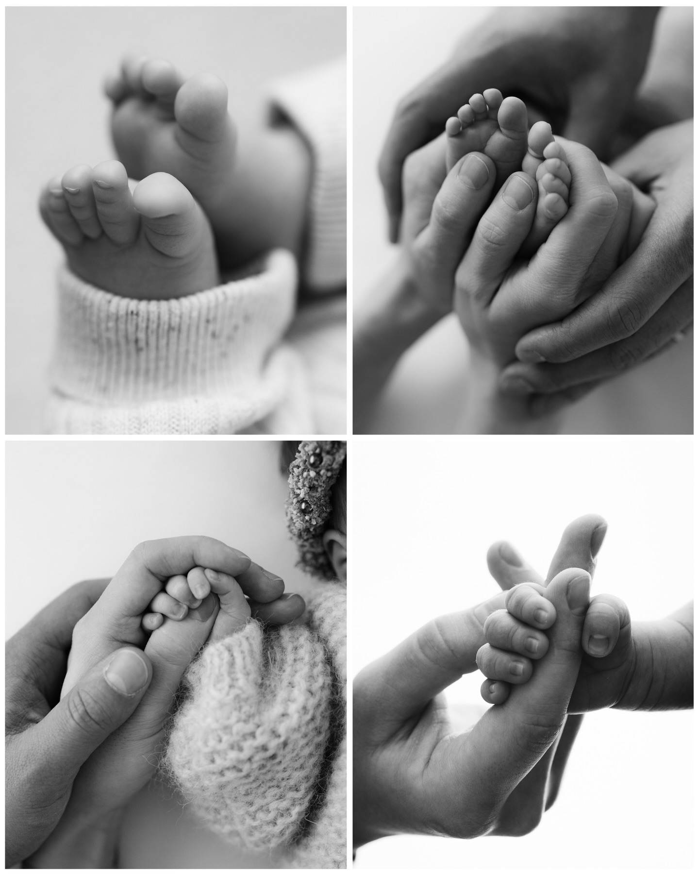 Veste minunată! ✨

Anul acesta voi participa la târgul Baby Boom Show, în perioada 2–5 aprilie 🤍

Abia aștept să va intalnesc si sa povestim despre ședințele foto. Iar pentru familiile cu care am scris deja o poveste… abia aștept să ne revedem! 🥹

Vă aștept cu drag să ne cunoaștem, să discutam și să creăm amintiri de neuitat la o sedinta foto impreuna! ✨

Ne vedem acolo! 🤍